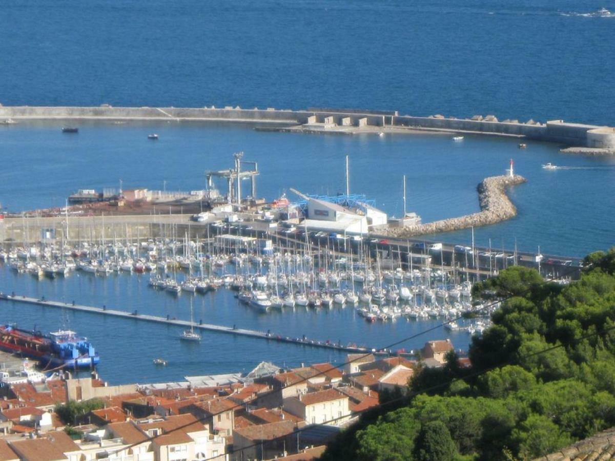 L'hippocampe * Sète